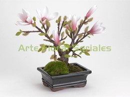 Bonsai magnolia artificial
