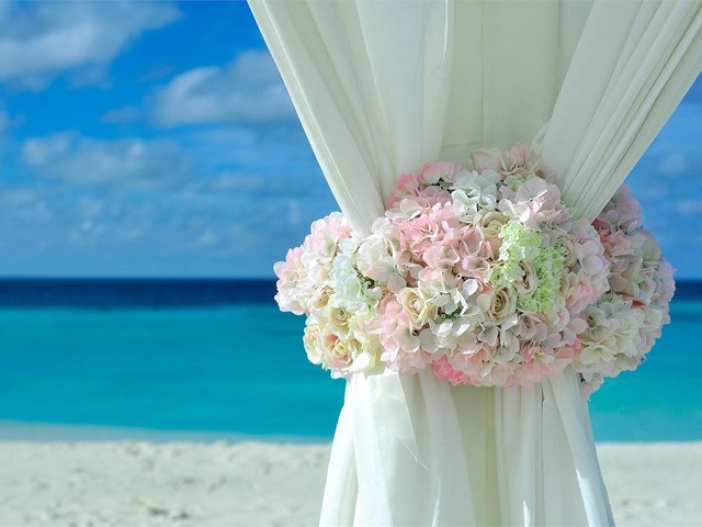 ¿Cuáles son las reinas de las flores en las bodas en verano?