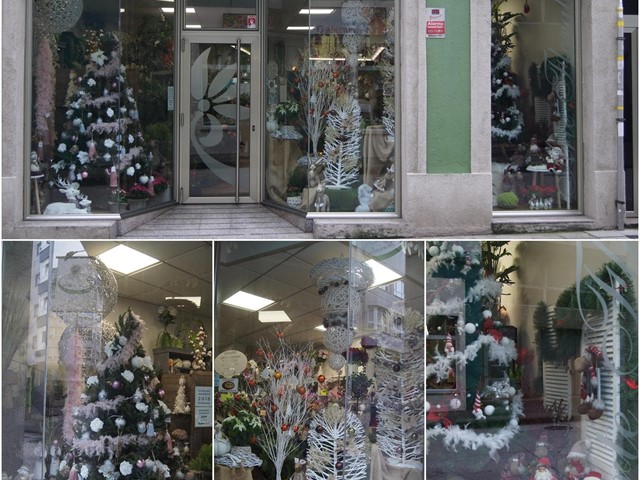 ¡Las plantas y flores también están presentes en Navidad!